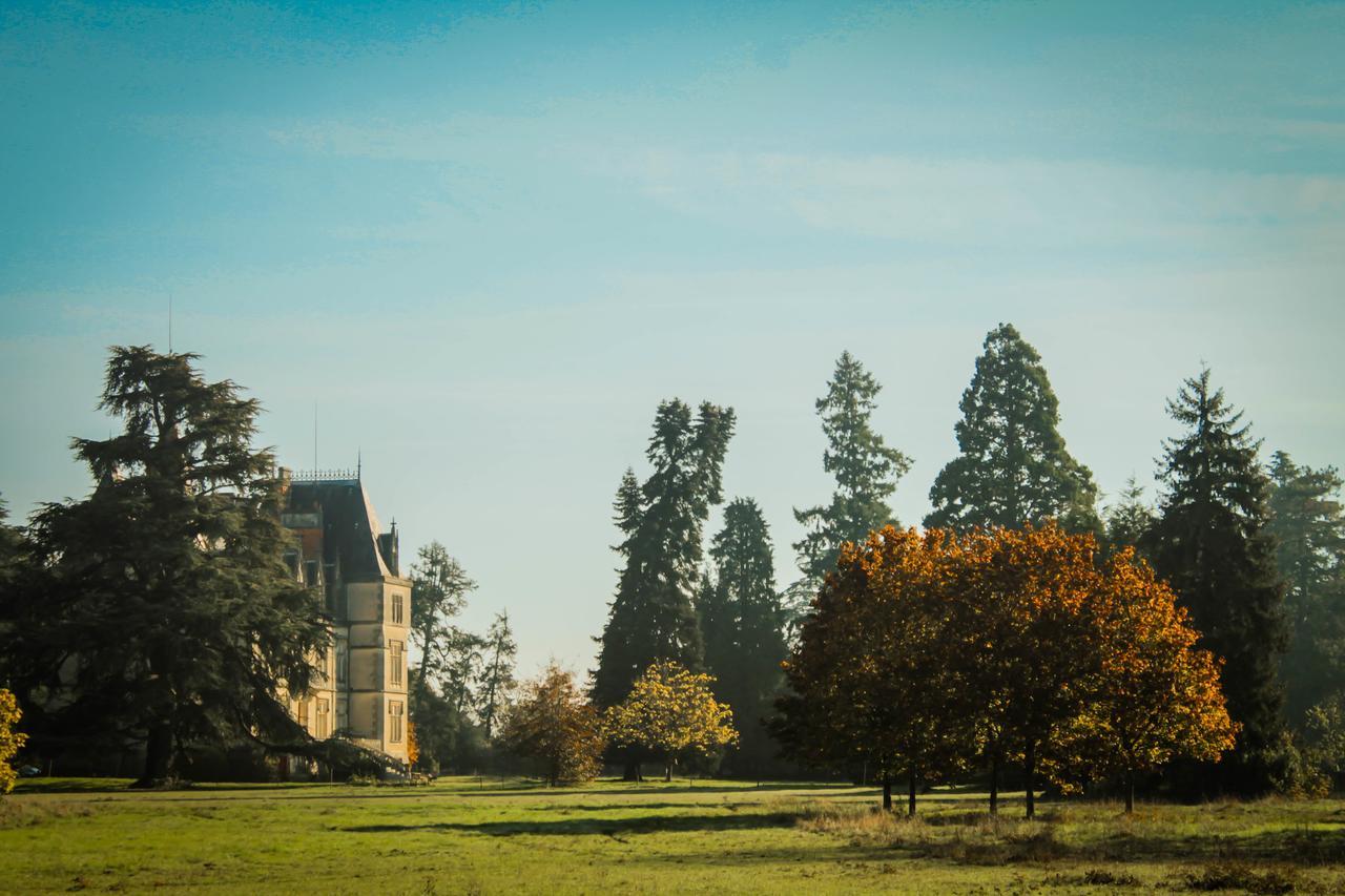 Chateau Le Boisrenault Ξενοδοχείο Buzançais Εξωτερικό φωτογραφία